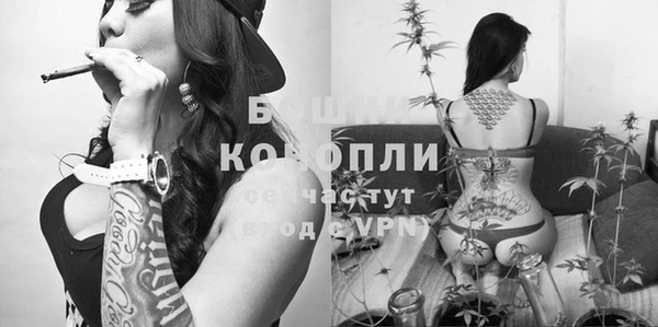ешки Елабуга