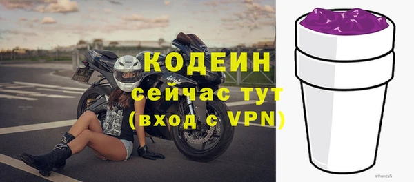 молекула духа Ельня