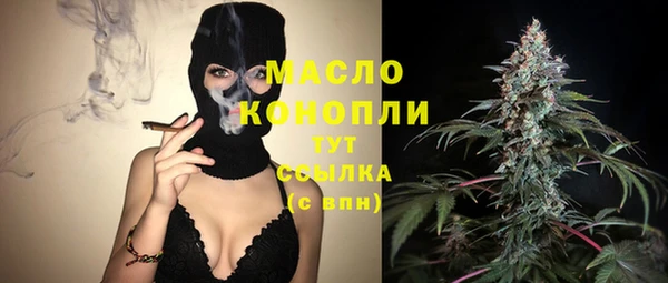 молекула духа Ельня