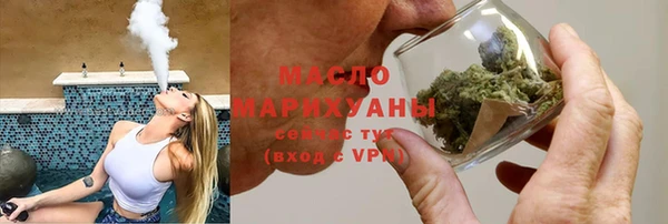 молекула духа Ельня