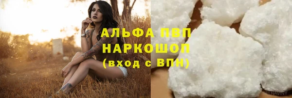молекула духа Ельня