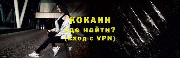 молекула духа Ельня