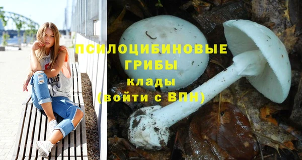 МДМА Елизово