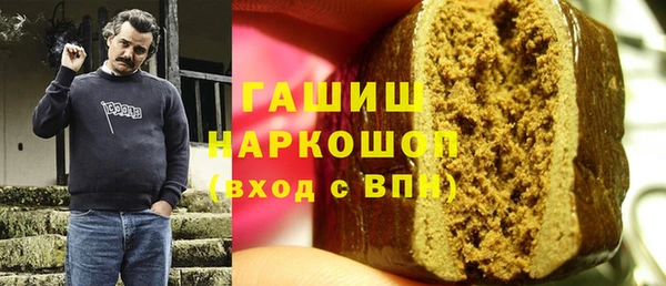 молекула духа Ельня