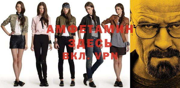 молекула духа Ельня