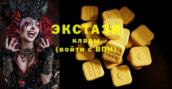 молекула духа Ельня