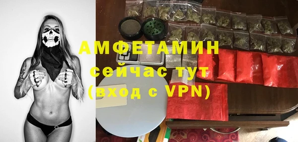 молекула духа Ельня