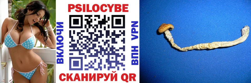 Галлюциногенные грибы прущие грибы  Купить  Минеральные Воды 
